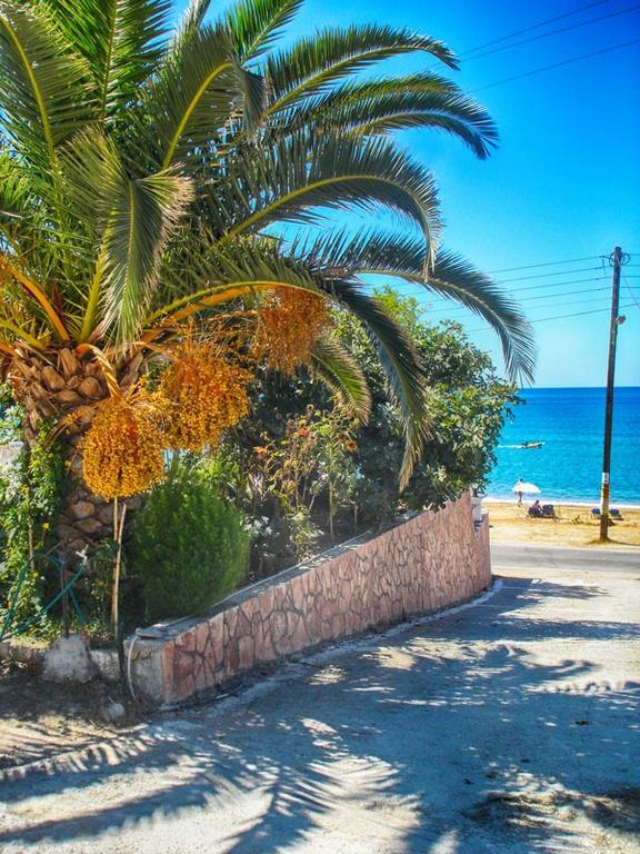 Vistonia Apartment Agios Georgios Pagon Bagian luar foto